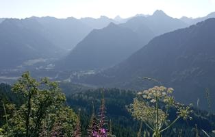 Allgäuer Hochalpen im Sommer Allgäuer Hochalpen im Sommer